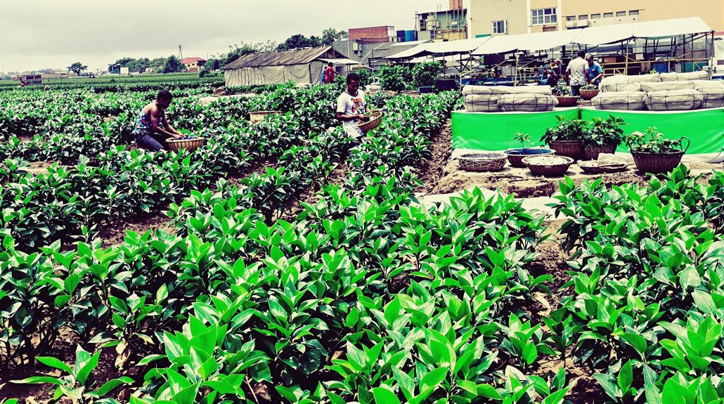 sustainable vanilla supply chain initiatives