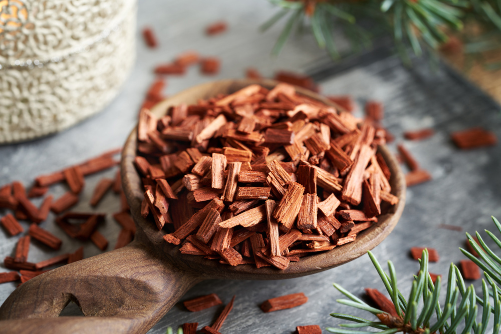 Pop Culture and the Wellness Boom: How Sandalwood Fits Modern Self-Care