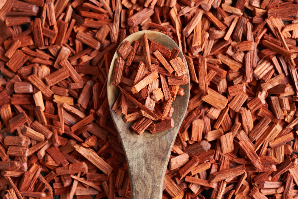 Red sandalwood on a spoon - ingredient for essential oils