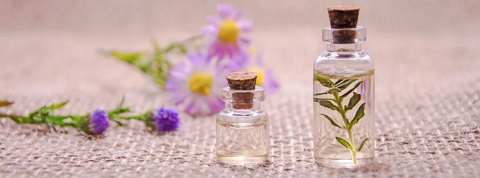 How to Combat Spring Allergies in Seniors with Essential Oils?